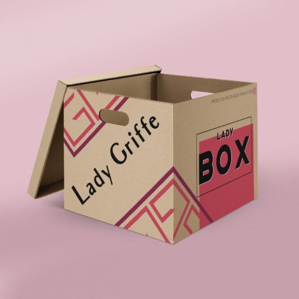 Lady Box  Arrasou
