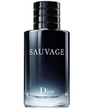 56d1512a_31bf_4d84_a3a8_5b92b5e3f923__sauvage_edt_100ml_500x500_1-10