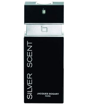 silver-8.jpg silver-8.jpg